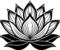 lotusblüte
